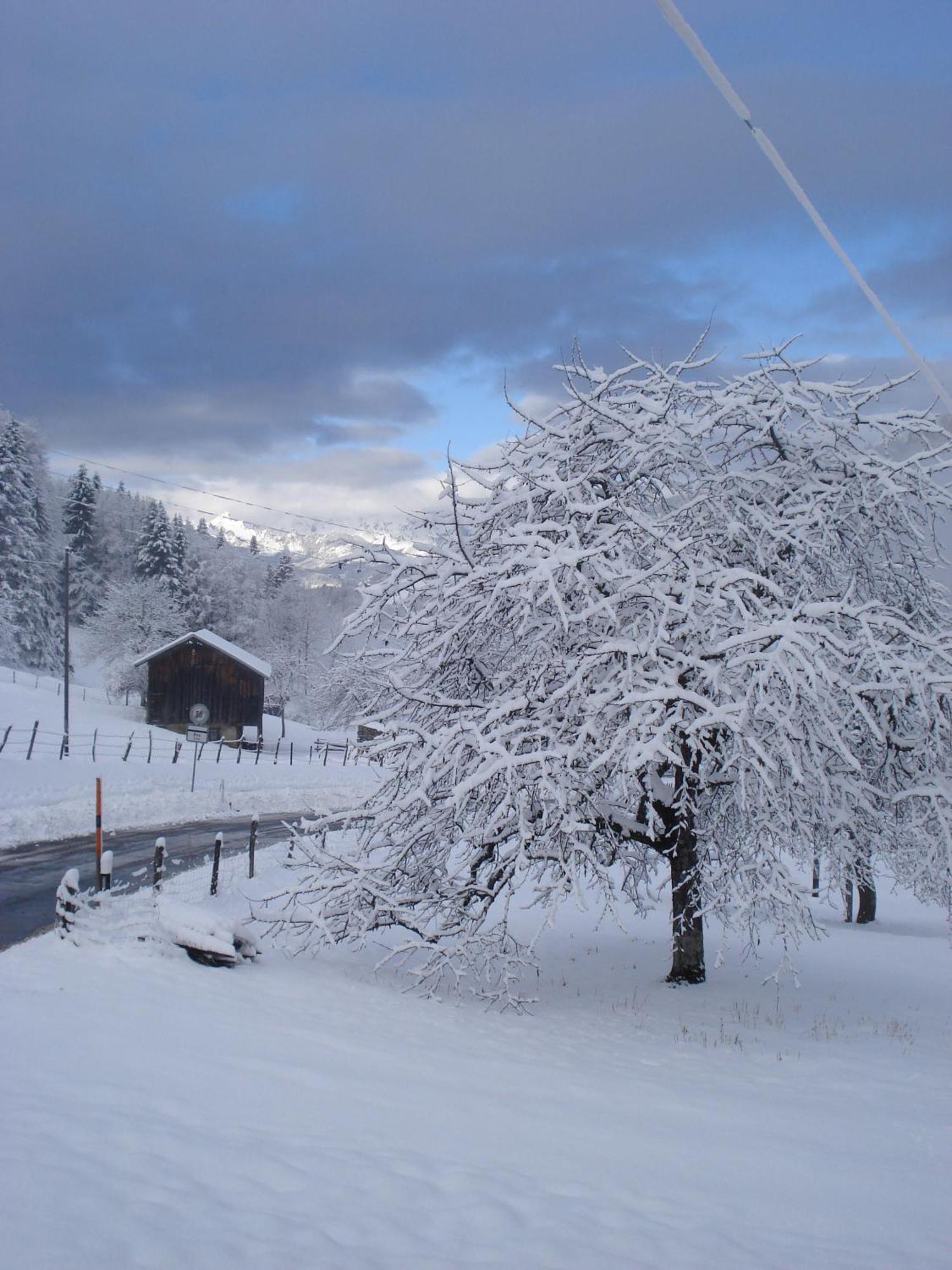 Heidi'S Guesthouse Frenières Zewnętrze zdjęcie